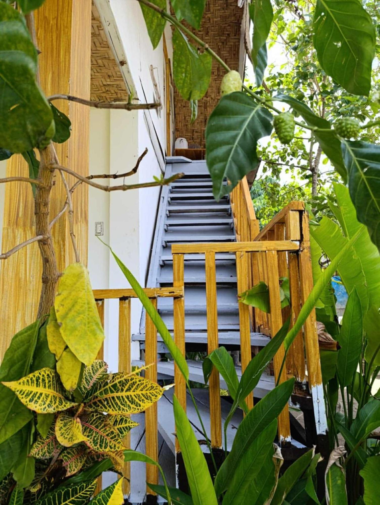 ג'נרל לונה Helmina'S Villas מראה חיצוני תמונה